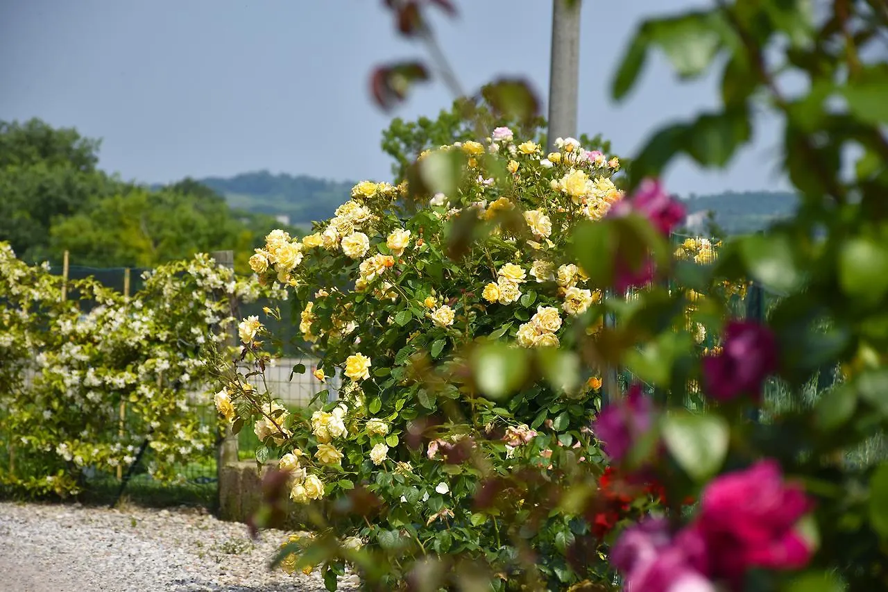 Agriturismo Panorama Salionze Séjour à la ferme